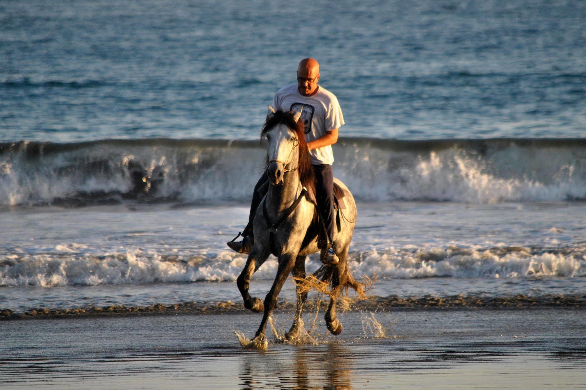 Hotel Locanda Samara Beach Dış mekan fotoğraf